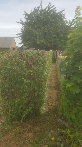 Photo de galerie - Terminé 