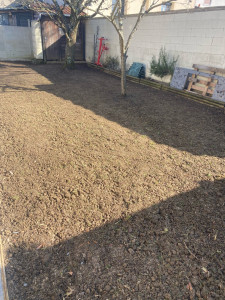 Photo de galerie - Paysagiste - Aménagement du jardin