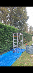 Photo de galerie - Taille-haie 