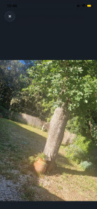 Photo de galerie - Entretien jardin