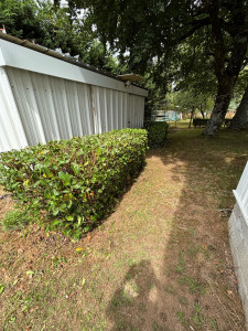 Photo de galerie - Taille de haies et d'arbustes