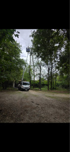 Photo de galerie - Étêtage d’arbres avec nacelle 