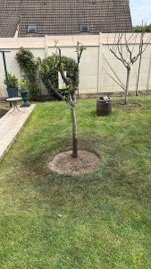 Photo de galerie - Paysagiste - Aménagement du jardin