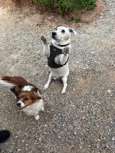 Photo de galerie - En balade 