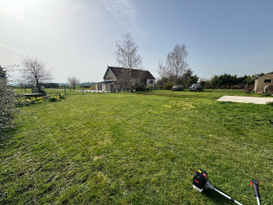 Photo de galerie - Tonte de pelouse.