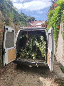 Photo de galerie - évacuation de déchets vert