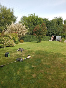 Photo de galerie - Taille de haies et d'arbustes