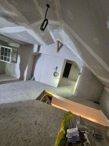 Photo de galerie - Banjo de plaquiste