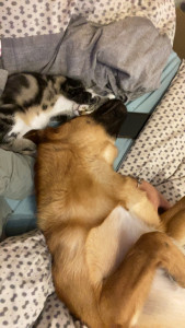 Photo de galerie - Tyron