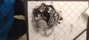 Photo de galerie - Révision et nettoyage d'une pompe à injection sur mercedes w124
