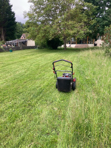 Photo de galerie - Tonte de pelouse 