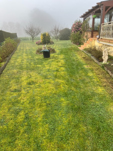 Photo de galerie - Paysagiste - Aménagement du jardin