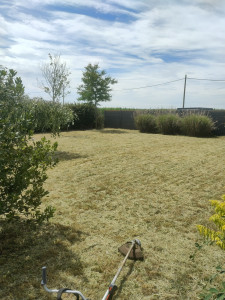 Photo de galerie - Après 