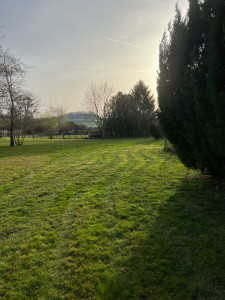 Photo de galerie - Entretien des espaces verts 