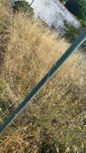Photo de galerie - Avant 