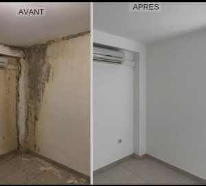 Photo de galerie - Bonjour je suis artisan en bâtiment peinture intérieur extérieur réparation des fissures sur mur dalle tuile remplacement de toiture réparation étanchéité changement des velux devis et déplacement gratuit merci beaucoup 