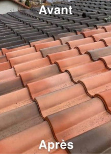 Photo de galerie - Nettoyage de toitures 