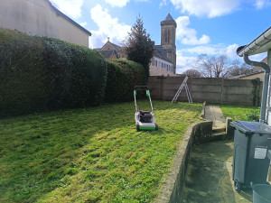 Photo de galerie - Tonte et taille de haie formé 