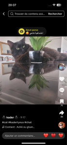 Photo de galerie - Bonjour je suis une femme sérieuse et ponctuelle et je recherche quelque s heures de ménage 