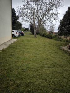 Photo de galerie - Tonte gazon 