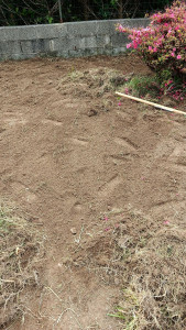 Photo de galerie - Cc