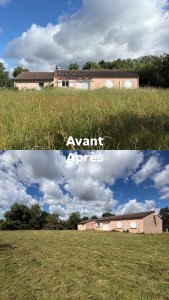 Photo de galerie - Tonte de pelouse - Débroussaillage
