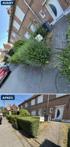 Photo de galerie - Taille de haie avant de maison