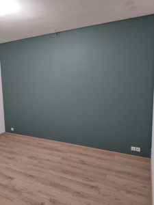 Photo de galerie - Pose de parquet et peinture 