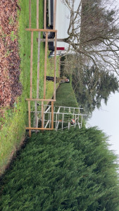 Photo de galerie - Cyprès 