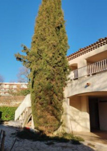 Photo de galerie - Avant 