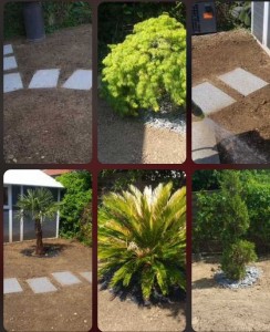 Photo de galerie - Décoration plantation entourage de piscine 