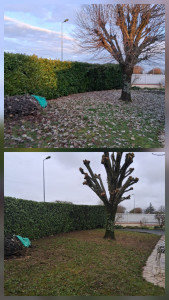 Photo de galerie - Jardin avent apres 