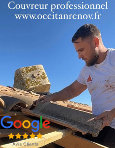 Photo de galerie - Couverture - Toiture