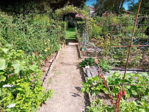 Photo de galerie - Création de potager