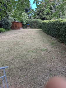 Photo de galerie - Débroussaillage 