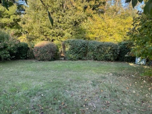 Photo de galerie - Paysagiste - Aménagement du jardin