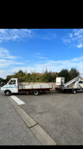 Photo de galerie - Taille de haie longueur 35m. 3 m mètres de hauteur 