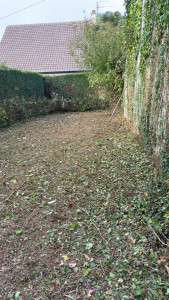 Photo de galerie - Remise en état d’un terrain 