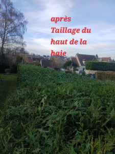 Photo de galerie - Après 