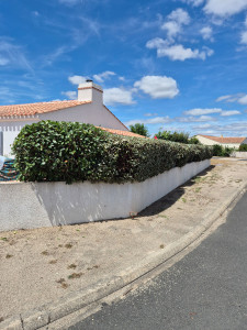 Photo de galerie - Taille de haie