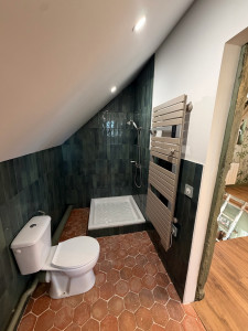 Photo de galerie - Rénovation complète salle de bain 