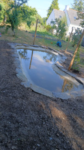 Photo de galerie - Terrassement et création d'un bassin pour volière 