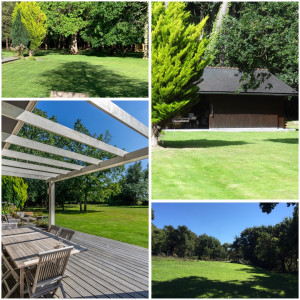 Photo de galerie - Entretien de jardins