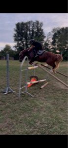 Photo de galerie - Je monte à cheval 