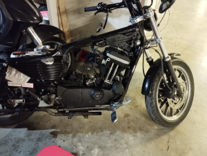 Photo de galerie - Remontage moteur Harley Davidson sportster 