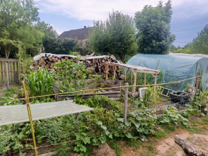 Photo de galerie - Réalisation de jardin