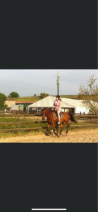 Photo de galerie - Livraison de courses