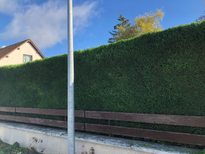 Photo de galerie - Après 