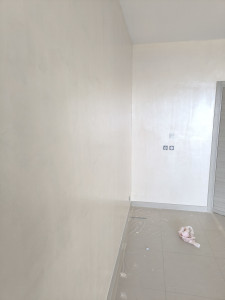 Photo de galerie - Stucco venicien avec finition en nacre 