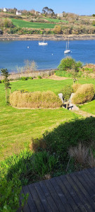 Photo de galerie - Tonte de pelouse - Débroussaillage
